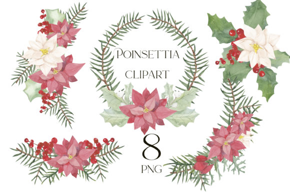 Poinsettia Christmas Clipart Png for Illustrations